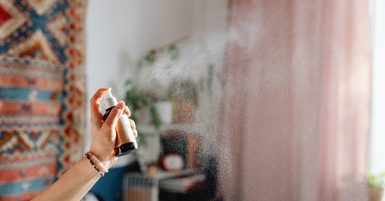 DIY pest spray