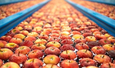 Food Processing Facilities