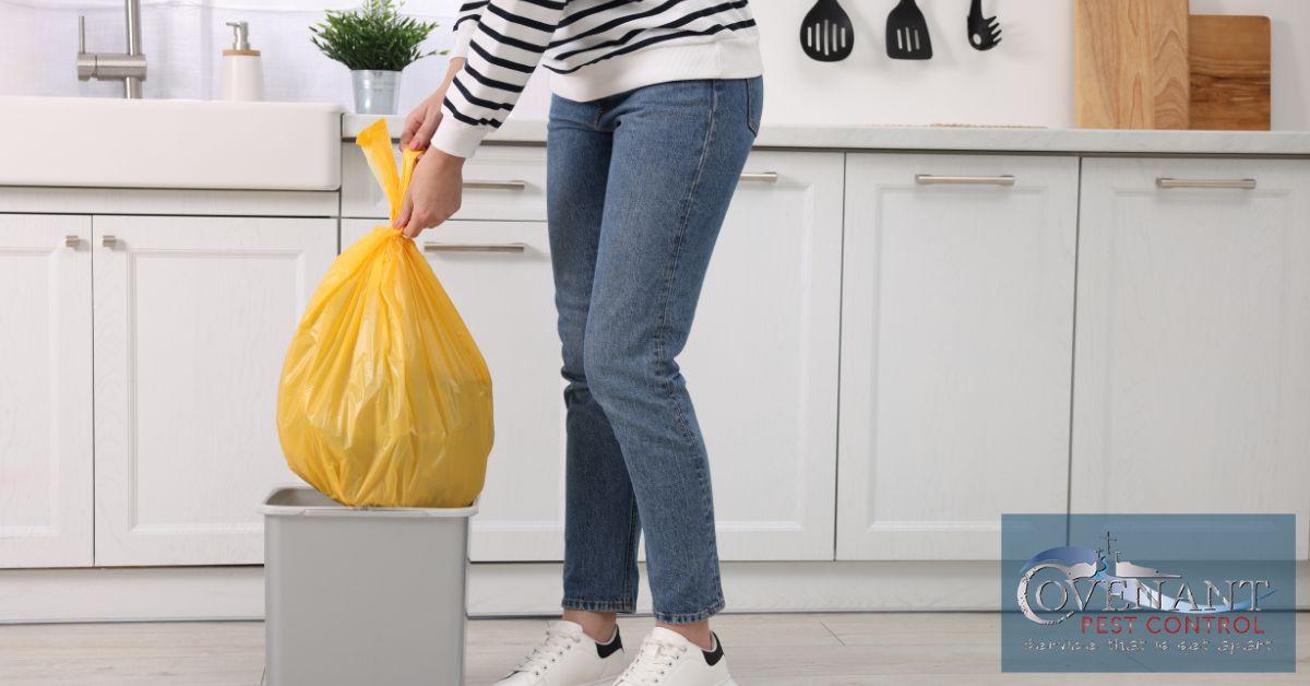Simple Preventative Steps to Keep Pests Out of Your Home This Season
